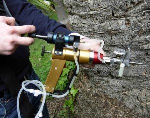 Endoterapia por microinyección en un árbol
