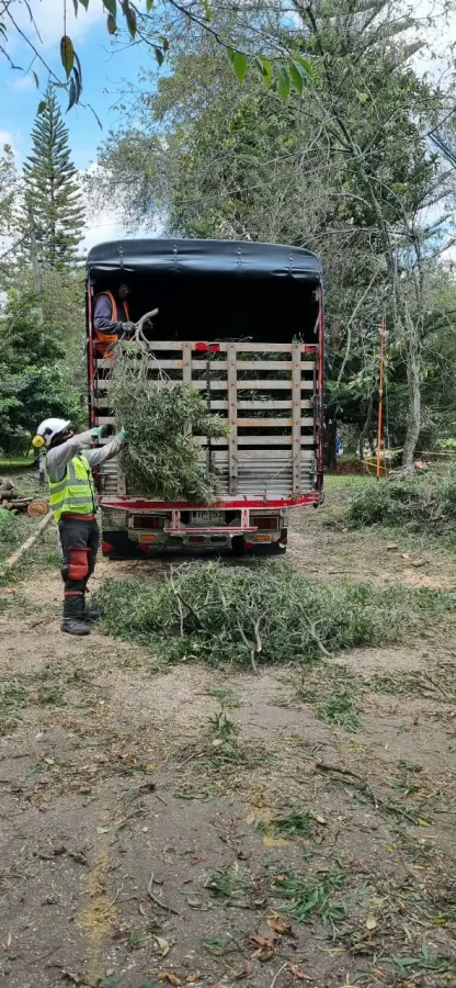 Recolección y transporte de residuos orgánicos vegetales