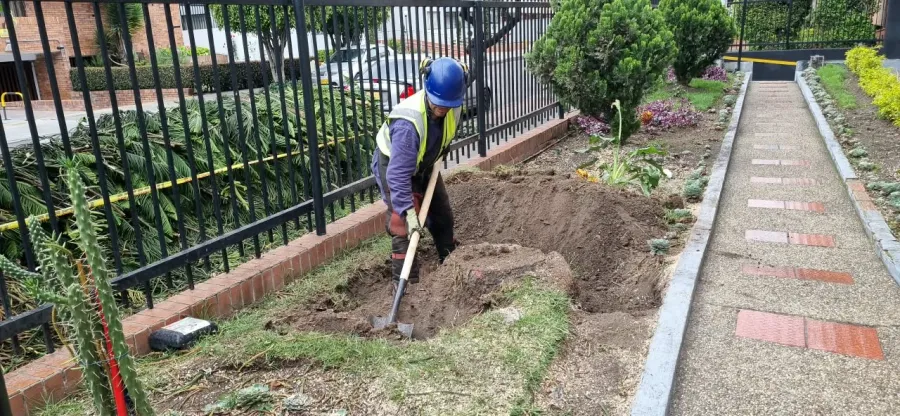 Extracción de tronco y raíces