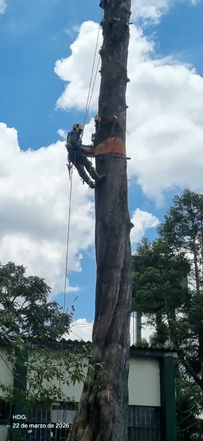 Tala seccionada dirigida y descenso controlado