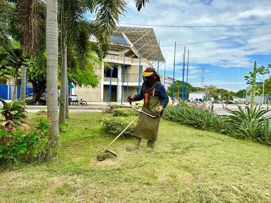 Cuadrilla de jardinería en zonas verdes de un conjunto